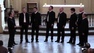 Klapa Motovun performing Vilo moja [upl. by Dnalon]