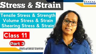 Elasticity  Tensile Stress amp Strength  Volumetric Stress amp Strain  Shearing Stress amp Strain  JEE [upl. by Marala]