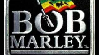 bob marley three little birds lyrics in description [upl. by Itsur370]