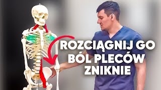 Rozciągnij ten mięsień i zapomnij o bólu pleców Nie czekaj zrób to teraz [upl. by Ivek]