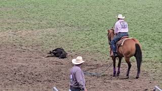 Calf Ropin Thur Perf  Pendleton Roundup 2024  9122024 [upl. by Nahtnoj]