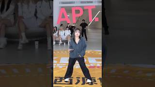 Kpop in public ROSÉ amp Bruno Mars  APT [upl. by Einnij]