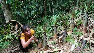 Single Mom Harvesting bamboo shoots to preserve and sell at the market  gardening with my daughter [upl. by Sedda299]