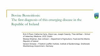 Bovine Besnoitiosis The First Diagnosis of this Emerging Disease in the Republic of Ireland [upl. by Uke]