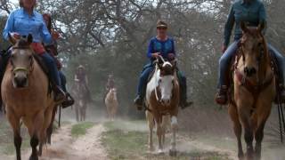 Equine Trail Sports Promo [upl. by Amzu]