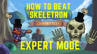 How to beat Skeletron on EXPERT Mode [upl. by Nerol]