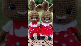 Crochet bunnies Muchomorek amp Muchomorcia🍄🍄 MiniPastelki flyagaric mushroom mushrooms september [upl. by Ecyarg]