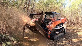 EXPLODING WHOLE TREES LIKE CONFETTI Rut Disc Mulcher VS Drum Mulcher Which Is Better [upl. by Tillo]