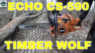 Echo CS590 Timber Wolf Review After 2 Years 25 [upl. by Oinoitna36]