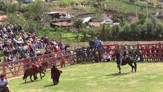 CHAGRAS Y TOROS EN ALOGUINCHO 2024 07 [upl. by Chew]