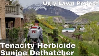 Ugly Lawn Project Tenacity Herbicide Challenge and Sunjoe Dethatcher review billbug prevention [upl. by Devin663]