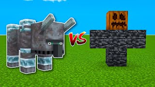 Minecraft Ravager Vs All Iron Golems [upl. by Stout75]