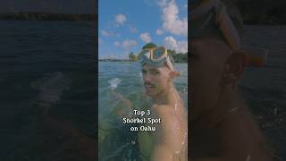 Hawaii Snorkeling  Sharks Cove  snorkeling hawaii snorkelingadventure [upl. by Hoppe]