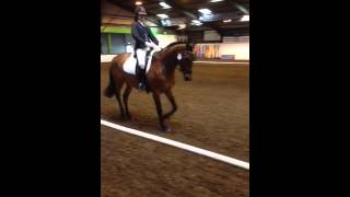 From yesterday 1st place in Novice Freestyle Dressage to Music [upl. by Stilla]