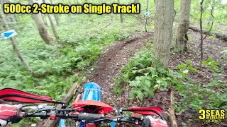 500cc 2stroke dirt bike on single track 2024 Beta 500 Race Edition [upl. by Masera]