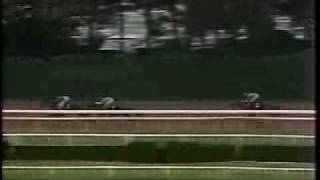 1979 Belmont Stakes Spectacular Bid finishes 3rd [upl. by Eelimaj]