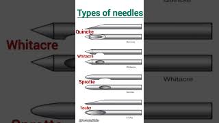 Types of needles  viralvideos quincke whitacre sprotte touhy [upl. by Anair734]