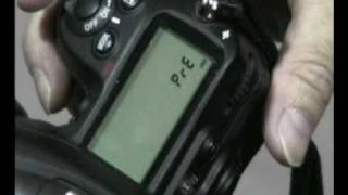 How to use an Expodisk to white balance your DSLR [upl. by Tehcac131]