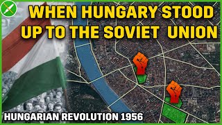 Twelve Days of Freedom  Hungarian Revolution 1956 Documentary [upl. by Rim]