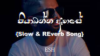 Piyabanna Ahase පියාබන්න අහසේ Slow amp Reverb SongSinhala Song [upl. by Harrad550]