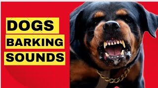 Rottweilers barking and growling will crack you up 😁 [upl. by Cyna1]