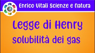 Legge di Henry Solubilità dei gas nei liquidi [upl. by Rolat5]