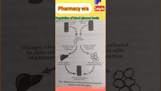 Insulin and Glucagon  Physiology  Biology  regulation of blood glucose levels [upl. by Etteiram]