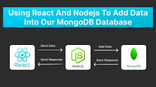 Add Data to MongoDB Using React and Nodejs  MERN Stack Tutorial [upl. by Berard515]