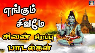 சிவ சிவ சங்கரா சிவன் பாடல்கள்  powerful Sivan songs in Tamil  Best Sivan Songs [upl. by Nolyak795]