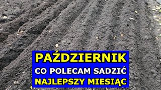 PAŹDZIERNIK  Najlepszy Miesiąc na Sadzenie tych Warzyw Co siać sadzić w Październiku Kalendarz [upl. by Gleason]