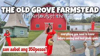 DAYTOUR IN THE OLD GROVE FARMSTEAD IN BATANGAS  2023 rates what to do tips and best photo spots [upl. by Ardnas]