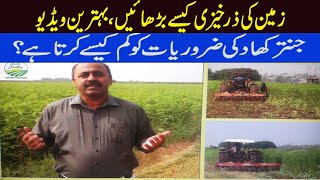 Jantar Ki Kasht in Pakistan  Sesbania Cultivation  زمین کو زرخیز کرنے کا بہترین طریقہ [upl. by Youngman]