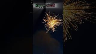 Fireworks 💥😱  shorts fireworks shell shortvideo youtubeshorts minivlog diwali diwali2024 [upl. by Ysle]