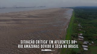 Situação crítica’ em afluentes do rio Amazonas devido à seca no Brasil [upl. by Boulanger115]