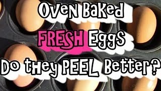 Oven Baked FRESH Eggs Do They Peel Better [upl. by Chasse523]