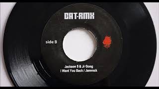 Jackson 5 amp Damian Jr Gong Marley  I Want You Back  Jamrock  Cat RMX [upl. by Alyel]