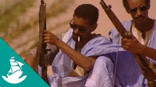 CIta en el desierto  ¡Ahora en alta calidad Documental completo [upl. by Boigie]