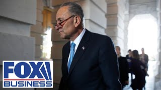 Senate Majority Leader Chuck Schumer holds press conference [upl. by Quincy]