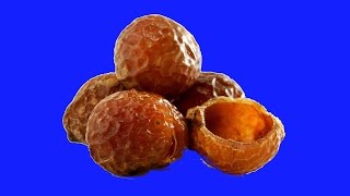 Soap nuts review and dishwasher use [upl. by Dinesh]