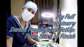 My Full Veterinary Dental Prophylaxis Set Up [upl. by Norad]