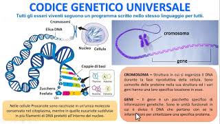 IL CODICE GENETICO E UNIVERSALE [upl. by Bevash]