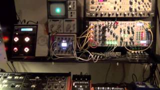 Buchla and Flame 4 Vox  Portamento Organ [upl. by Dlorrej]