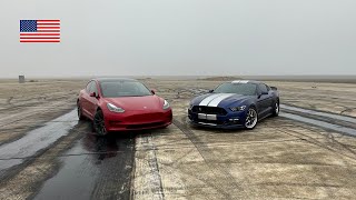 Tesla Model 3 Performance vs 500 HP Mustang 50 [upl. by Oeht481]