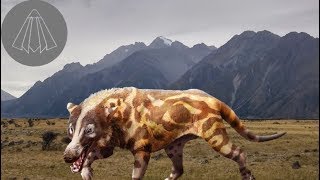 Andrewsarchus the Giant Hoofed Predator [upl. by Ennahgem]