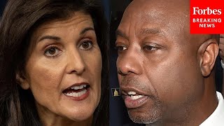 Nikki Haley Reacts To Tim Scott Endorsing Trump Over Her [upl. by Filip]