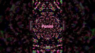 Panini  Lil Nas x  pd1735 shorts [upl. by Namlas269]