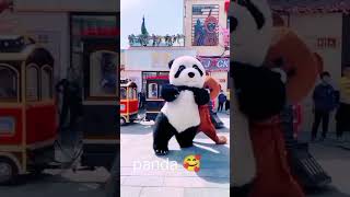 panda teddy bear funny videos 🥰🥰🥰🥰🥰 [upl. by Greenes754]