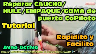 Reparar CAUCHOEMPAQUEHULEGOMA de puerta delantera del AVEO [upl. by Favianus696]