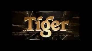 Tiger Beer TVC Series The Secret [upl. by Consuelo678]