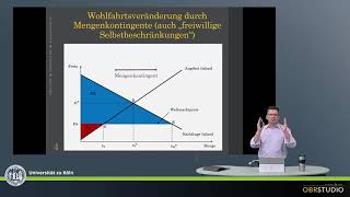 Wohlfahrtswirkung eines Mengenkontingents oder einer quotfreiwilligen Selbstbeschränkungquot [upl. by Jr914]